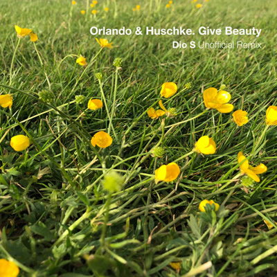 Pochette de Give beauty (Dio S unofficial remix)