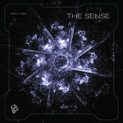 Pochette de The sense