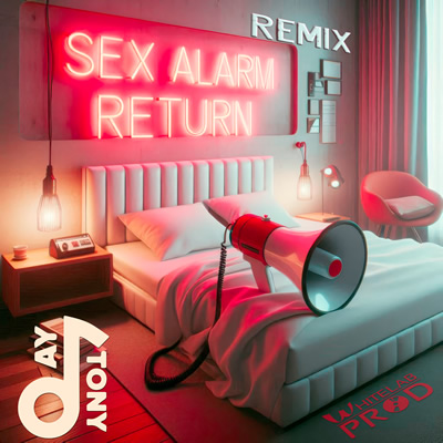 Pochette de Sex alarm return